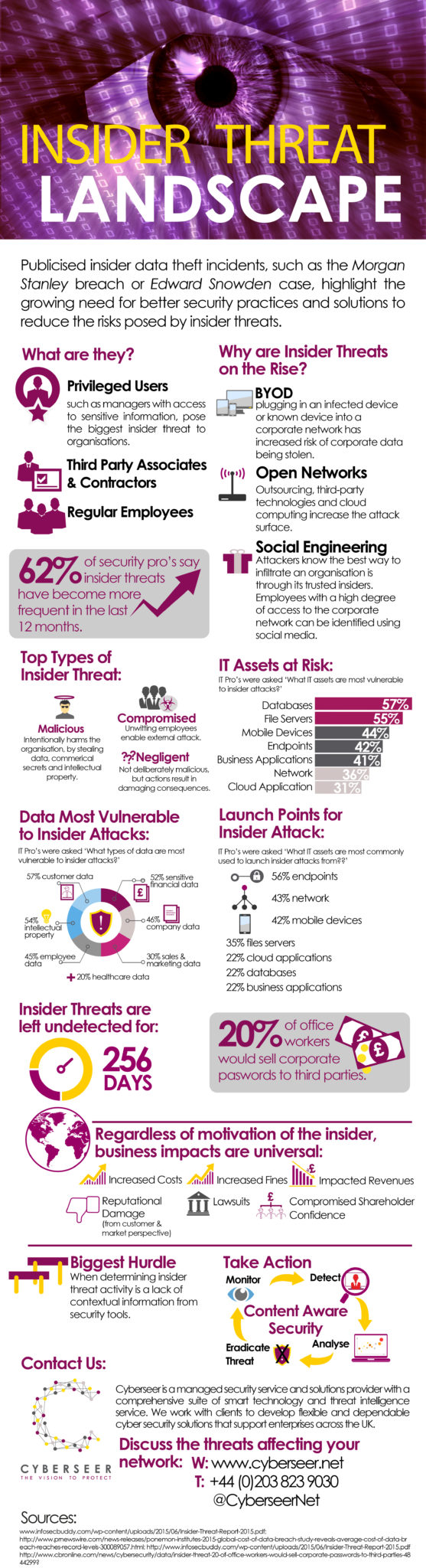 Insider Threat Landscape |Cyberseer Infographic