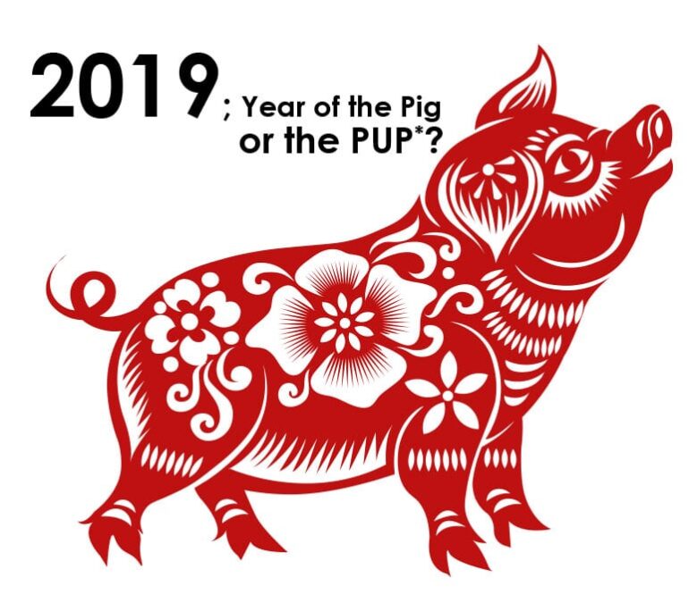 webinar 2019 year of the pig