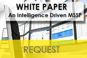 View White Paper An Intelligence Driven MSSP