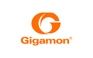 Gigamon, Official partner of Cyberseer