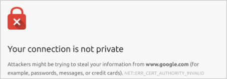 Supporting Burpsuite alert: your connection is not private alert