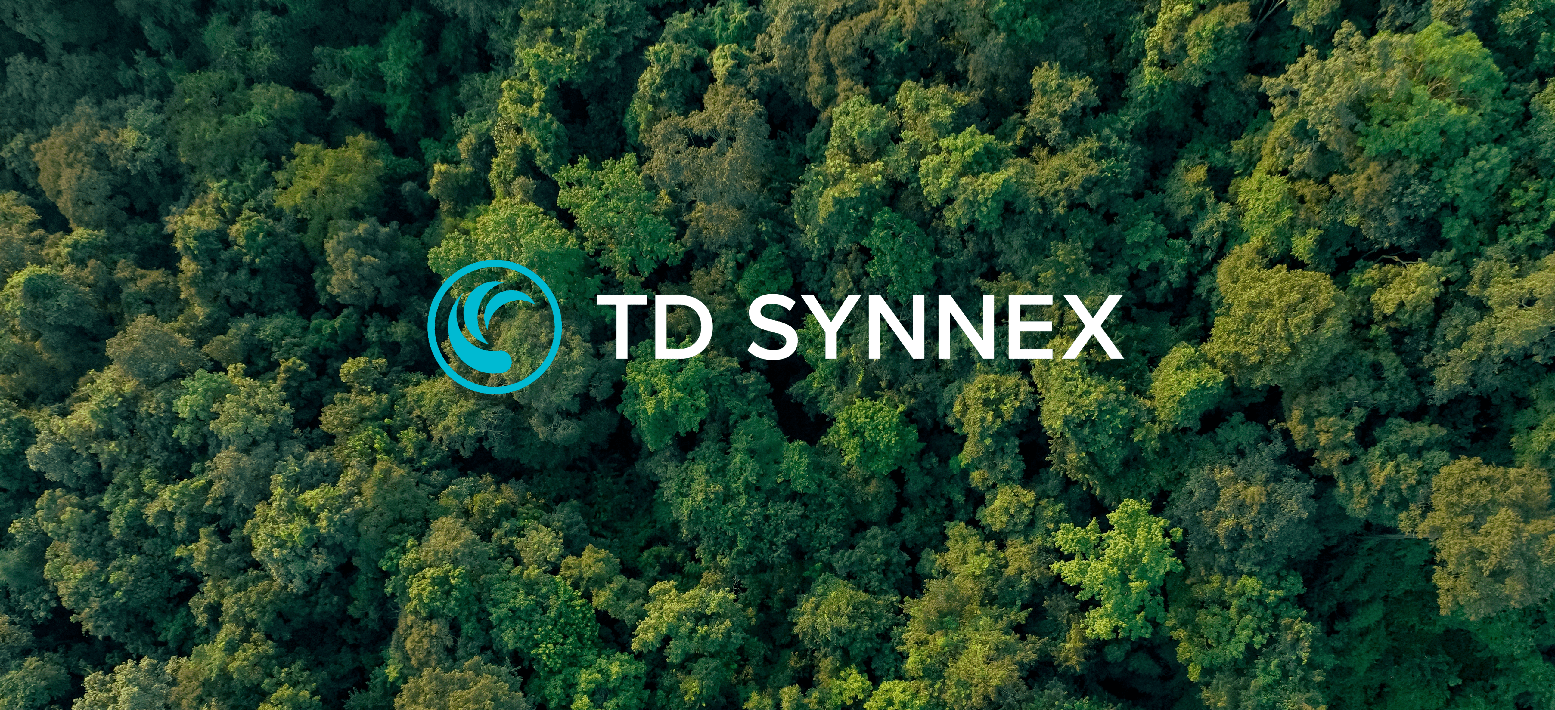 Press Release - Cyberseer Named Google SecOps Services Partner by TD SYNNEX